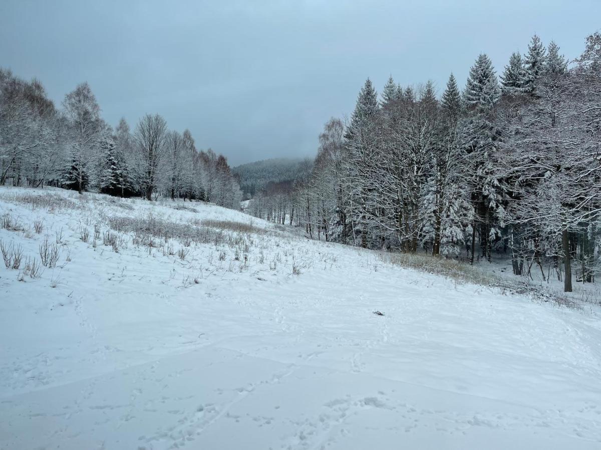 Mlynowiec 4Rest Stronie Śląskie Exteriör bild
