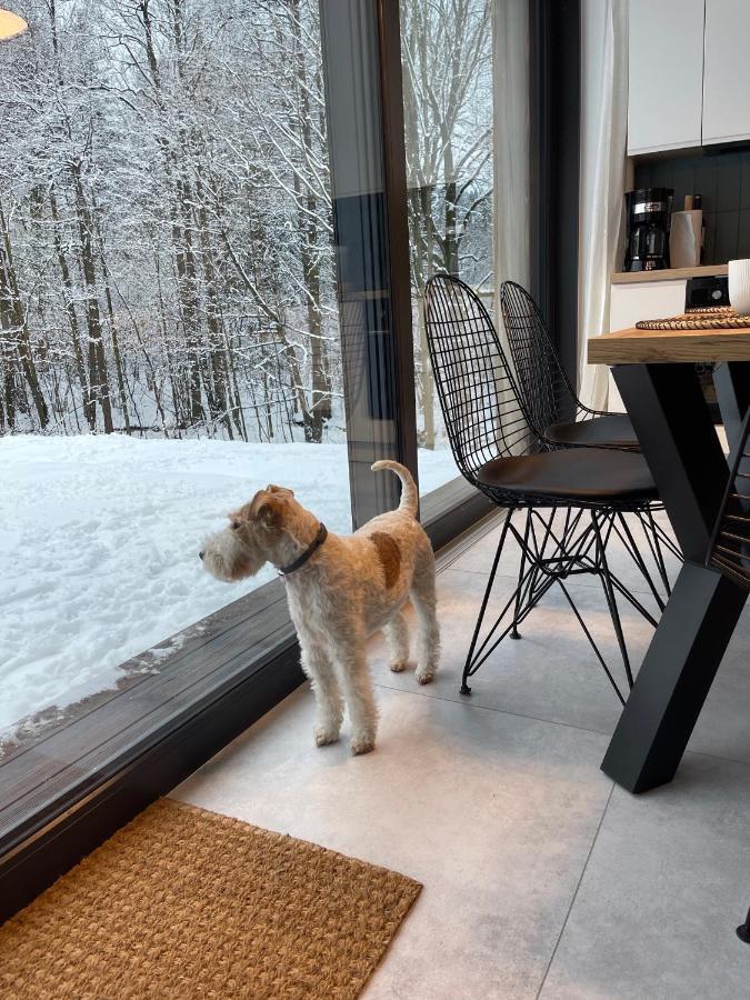 Mlynowiec 4Rest Stronie Śląskie Exteriör bild