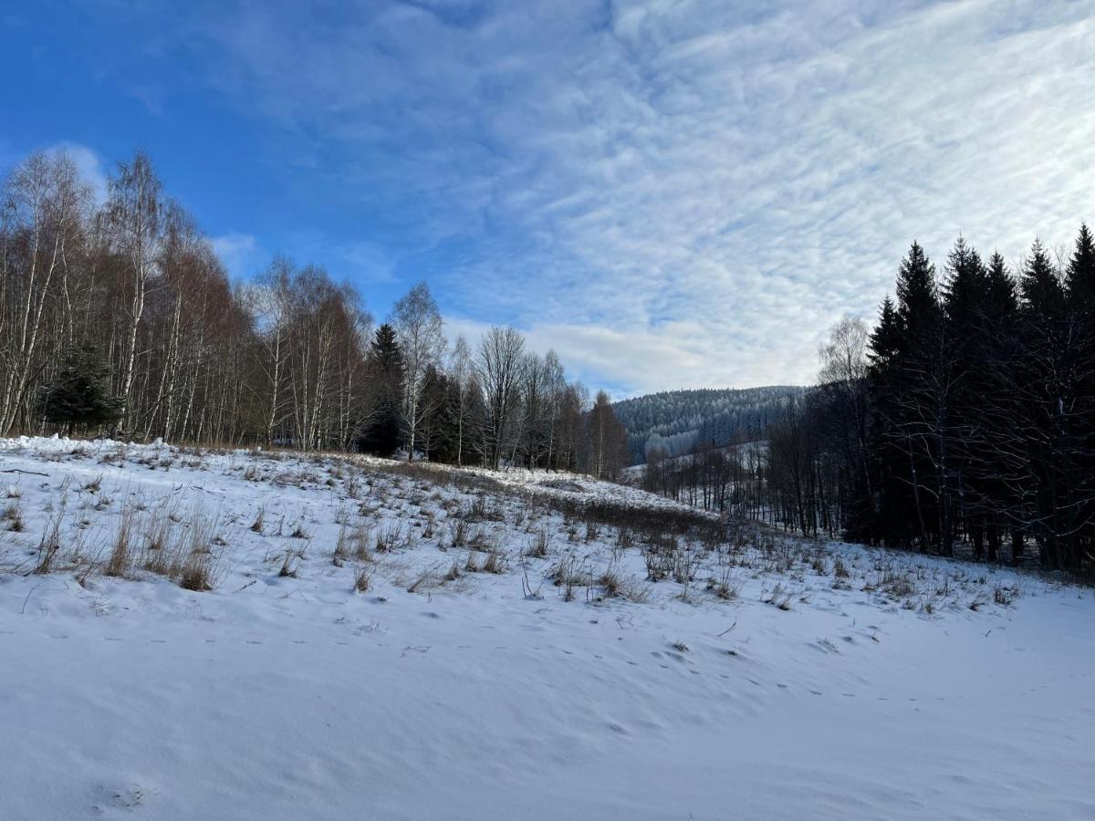 Mlynowiec 4Rest Stronie Śląskie Exteriör bild