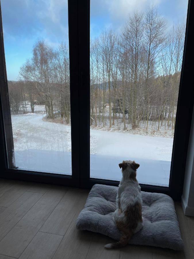 Mlynowiec 4Rest Stronie Śląskie Exteriör bild