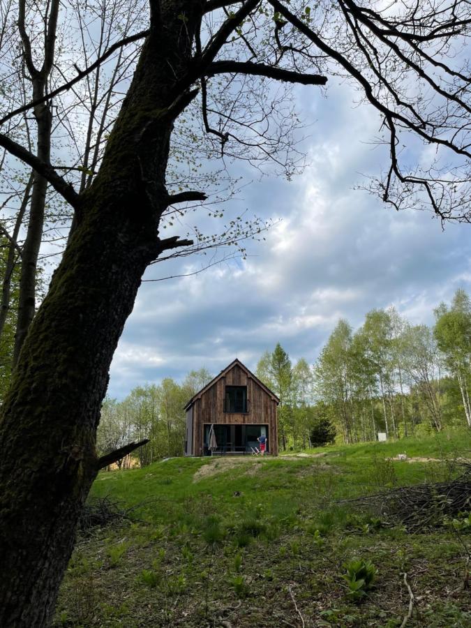 Mlynowiec 4Rest Stronie Śląskie Exteriör bild