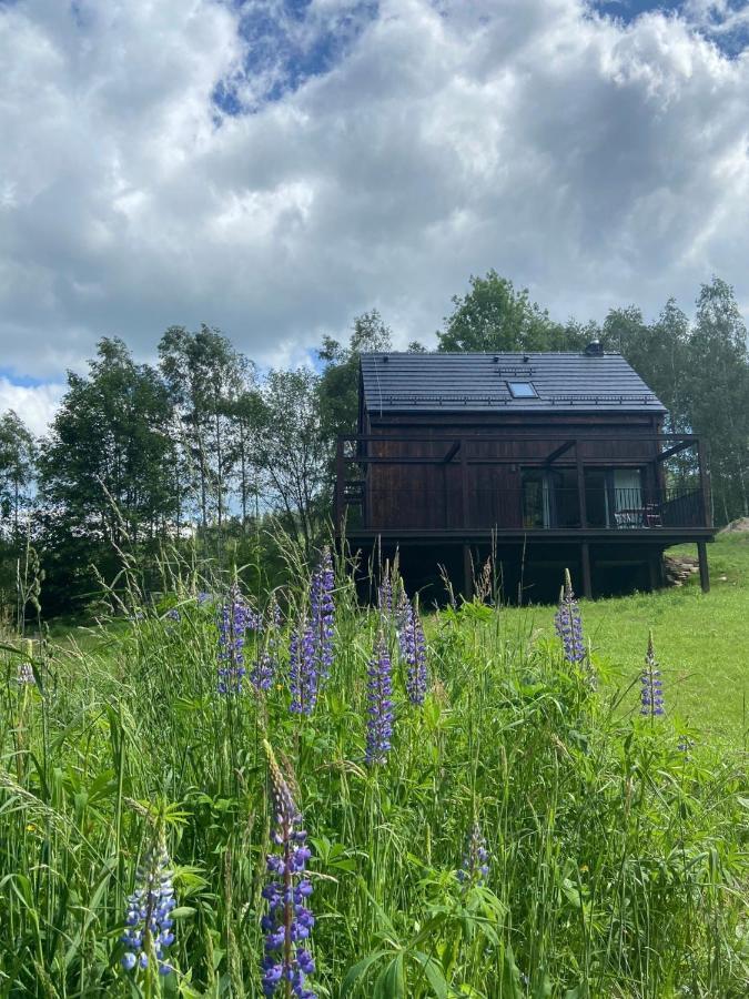 Mlynowiec 4Rest Stronie Śląskie Exteriör bild